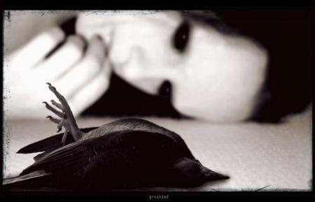 texte